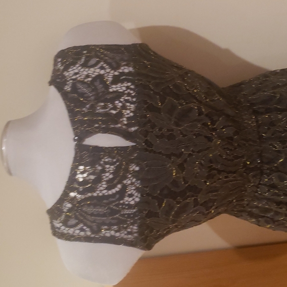 Monteau lace dress - Picture 3 of 6